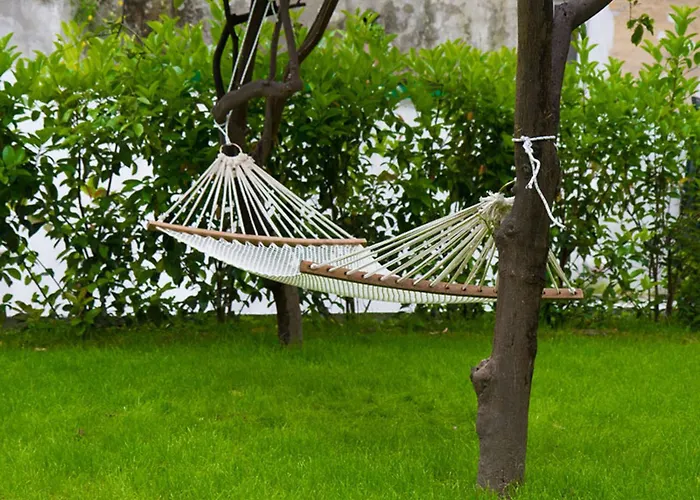 Il Paradiso di Dante Napoli